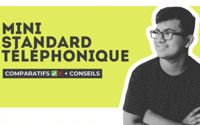 Tout savoir sur les mini standards téléphoniques pour TPE/PME